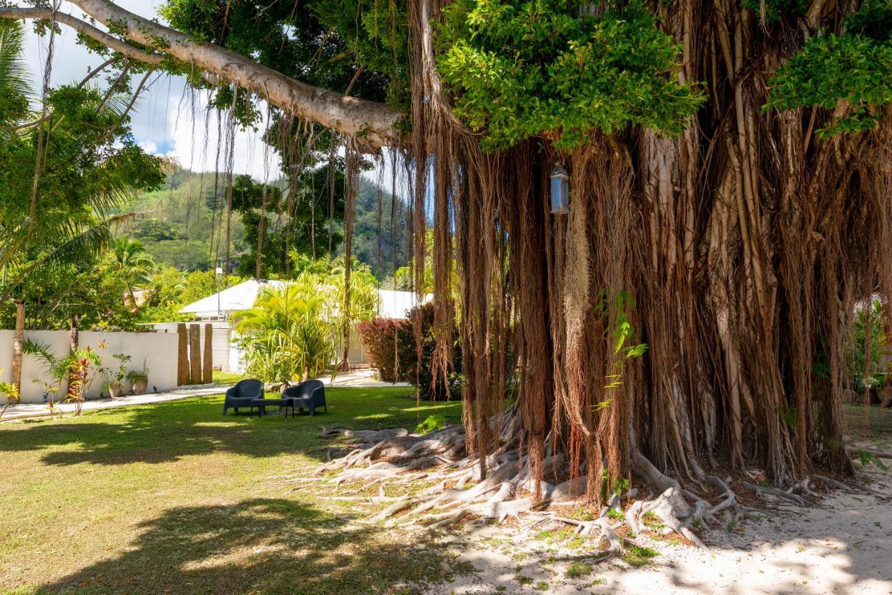 Moorea Beach Lodge Ngoại thất bức ảnh