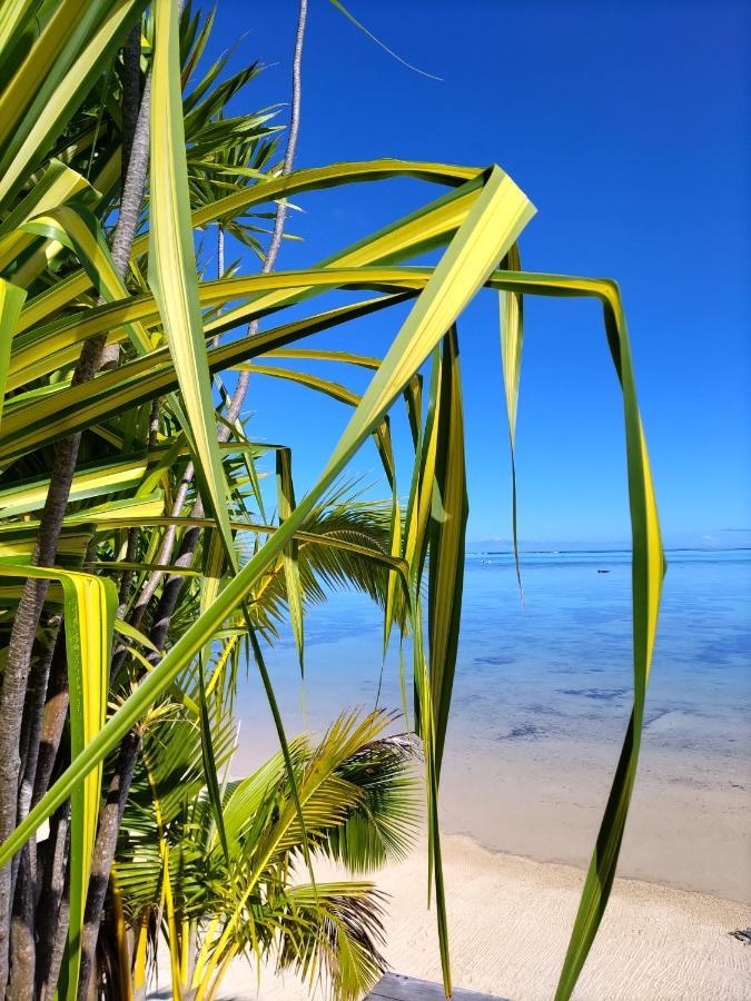 Moorea Beach Lodge Ngoại thất bức ảnh